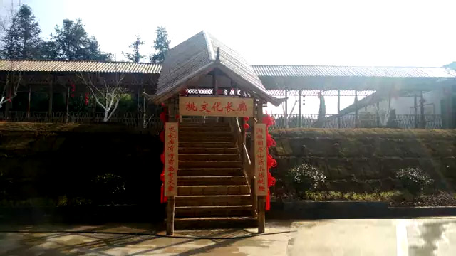 南陵桃园村