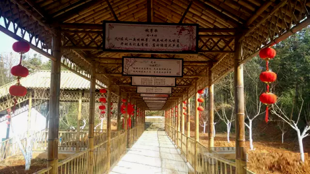 南陵桃园村