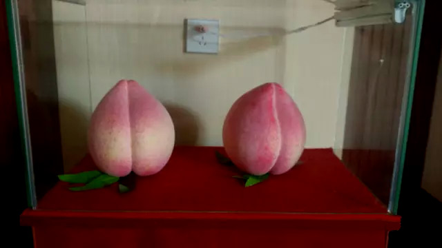 南陵桃园村