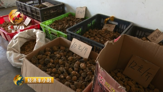 大逆转：玛咖每公斤120元跌落到1元 遭遇白菜价