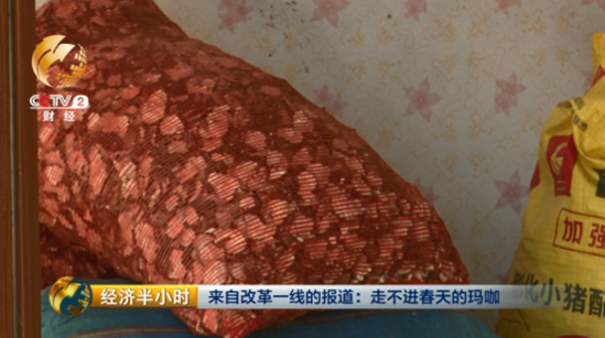 大逆转：玛咖每公斤120元跌落到1元 遭遇白菜价