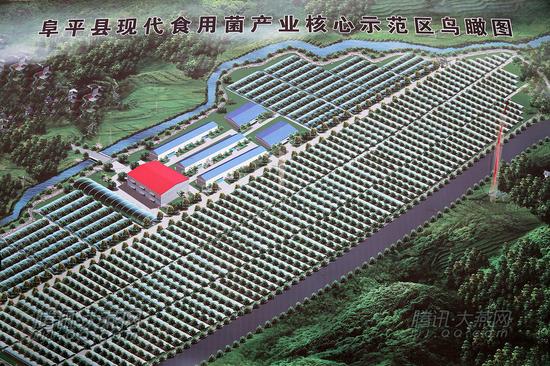 阜平县现代食用菌产业核心示范区第一期占地700亩，第二期占地800亩，建成后年产值2.5万吨。腾讯大燕网 寇家祥 摄