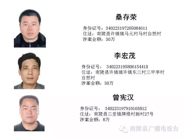 南陵第六批“老赖”名单