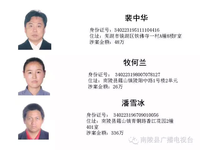 南陵第六批“老赖”名单
