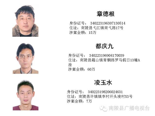 南陵第六批“老赖”名单