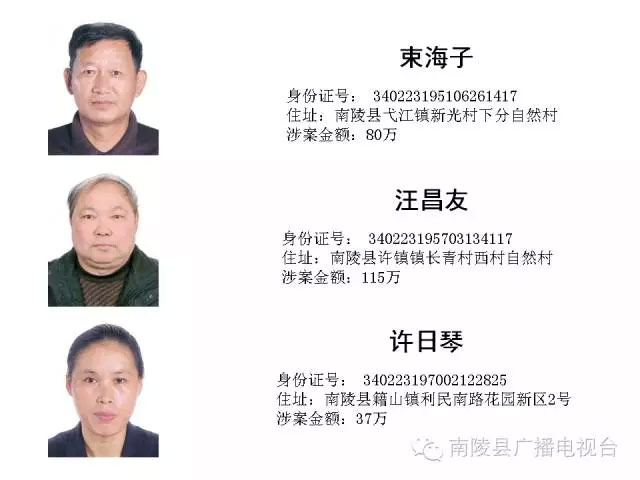 南陵第六批“老赖”名单
