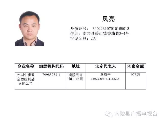南陵第六批“老赖”名单