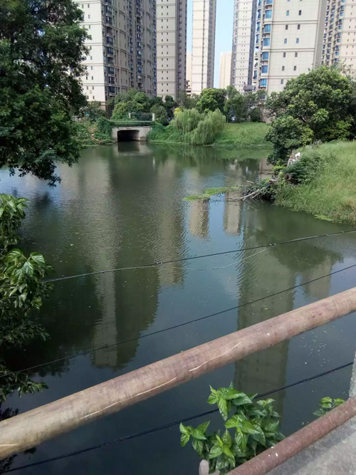 北门大河画眉嘴沿岸